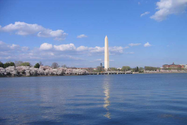 Washington Monument